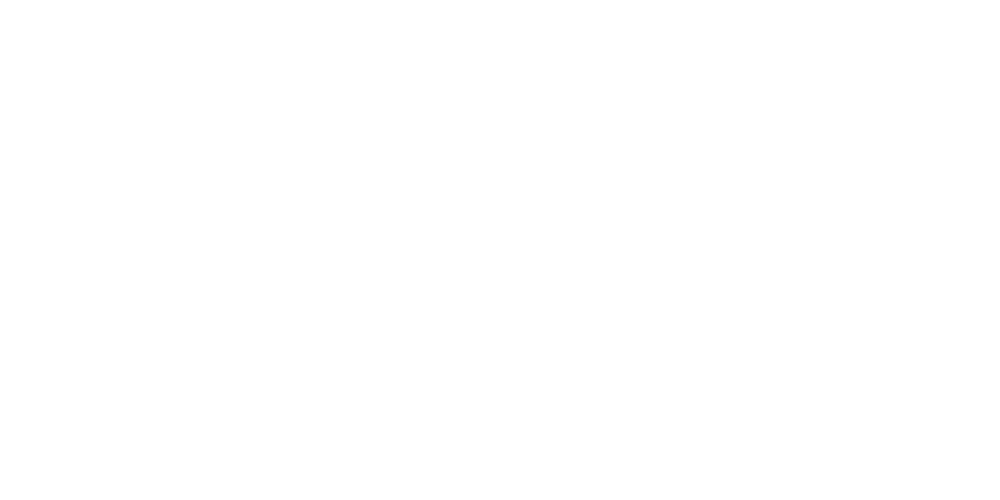 AiSOM